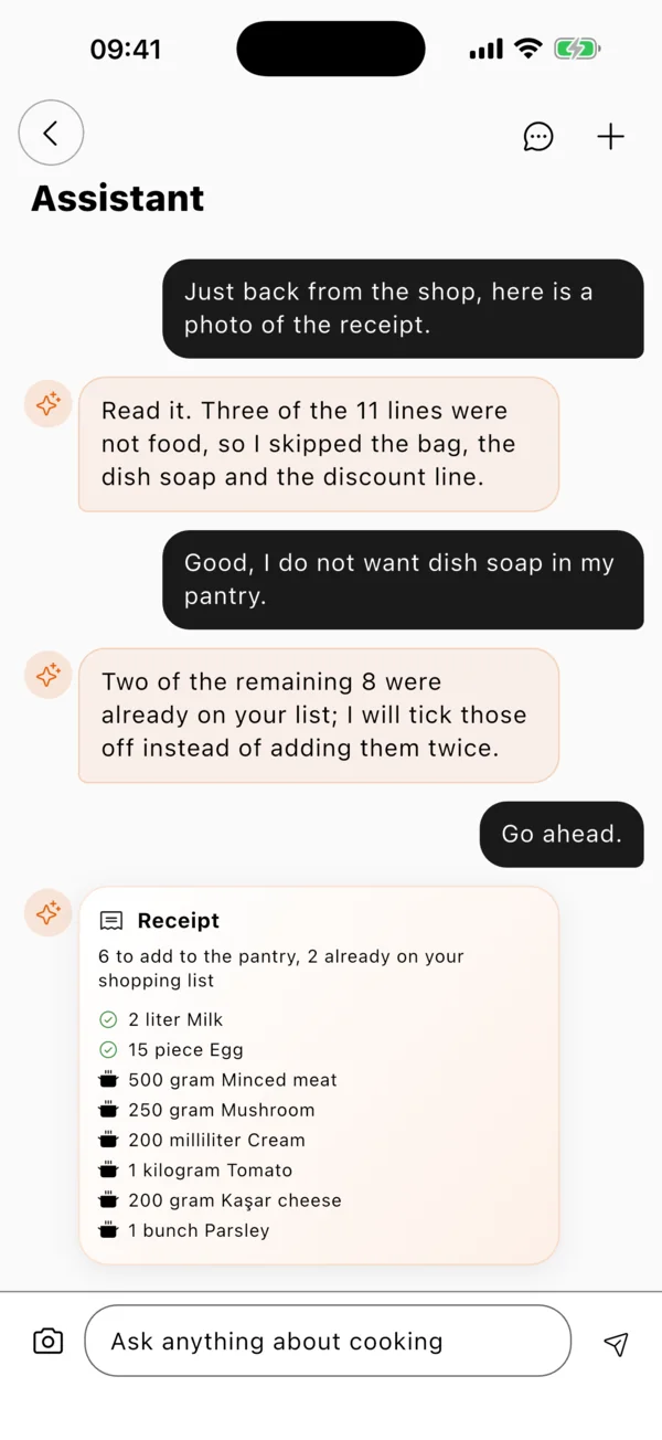 Grocery receipt scanned into the pantry